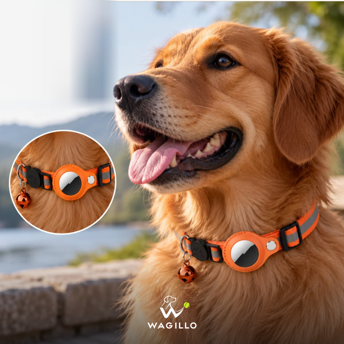 AirTag Dog Collar Holder