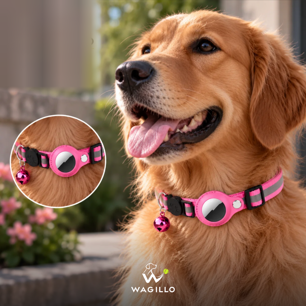 AirTag Dog Collar Holder