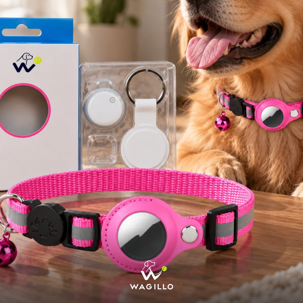 AirTag Dog Collar Holder