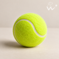 Durable Fetch Ball