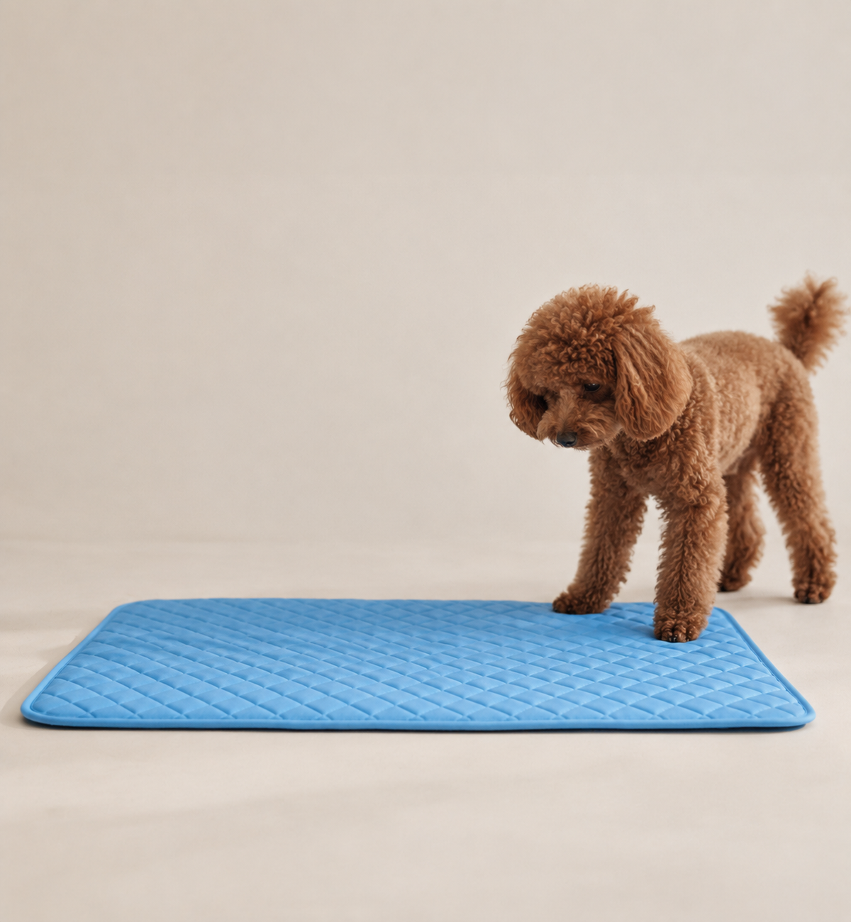 Dog Cooling Mat