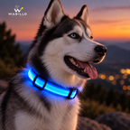 LED Luminous Dog Collar