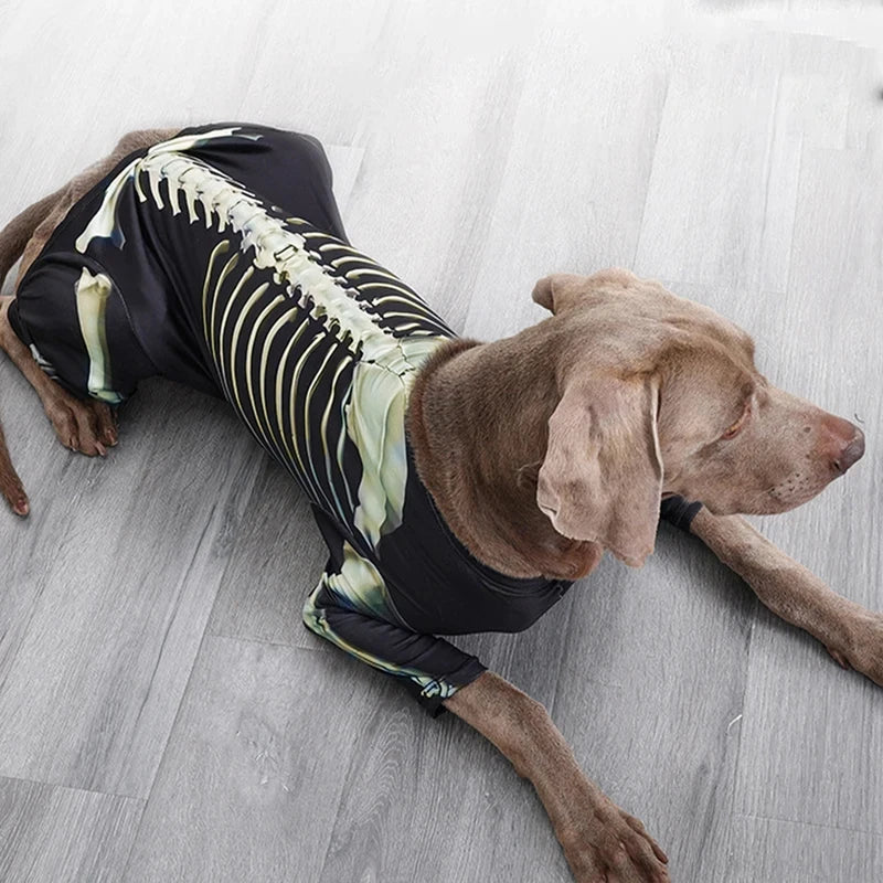 Skeleton Dog Halloween Costume