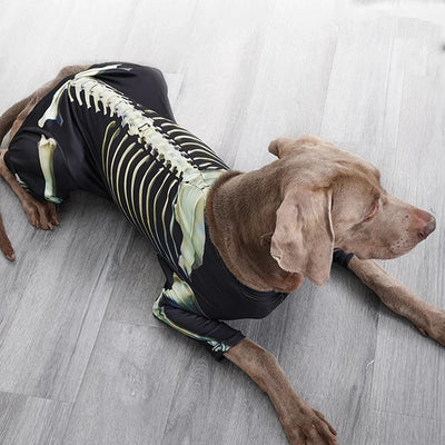 Skeleton Dog Halloween Costume
