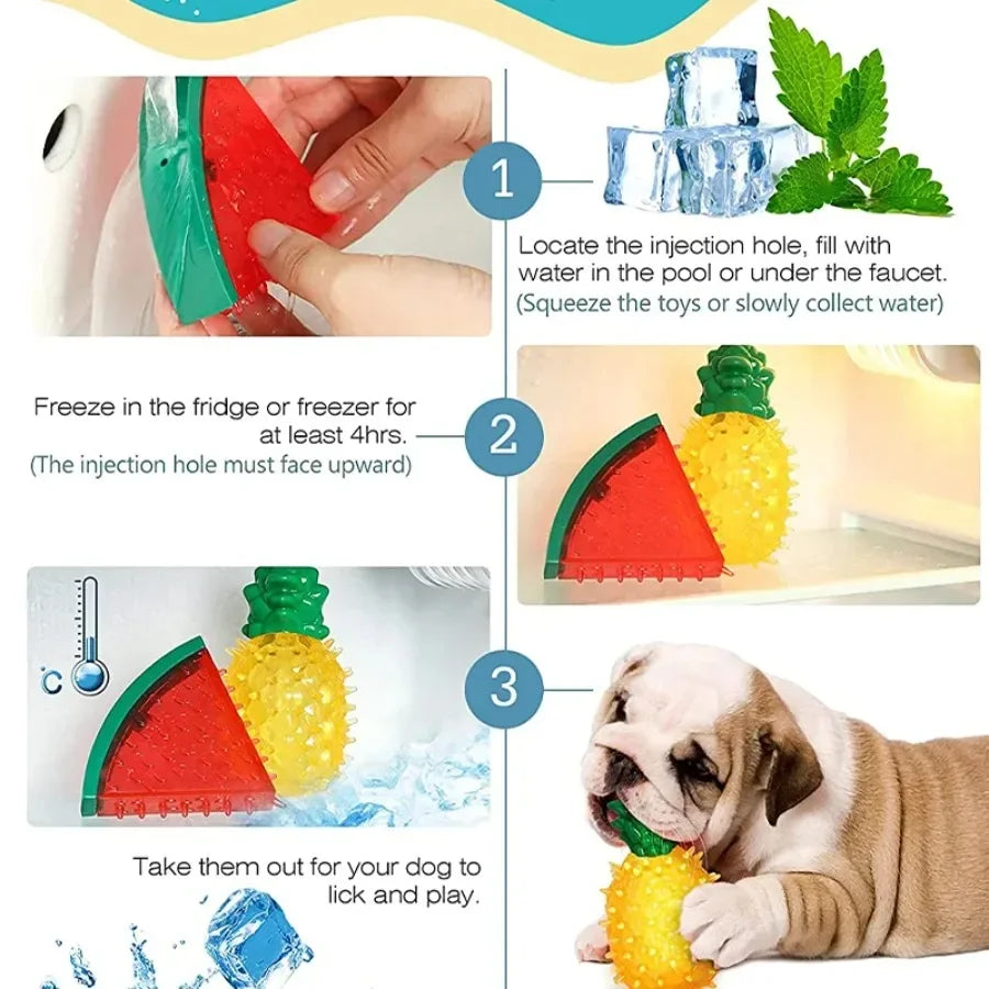 Freezable Fruit Chew Toy