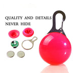LED Collar Safety Light
