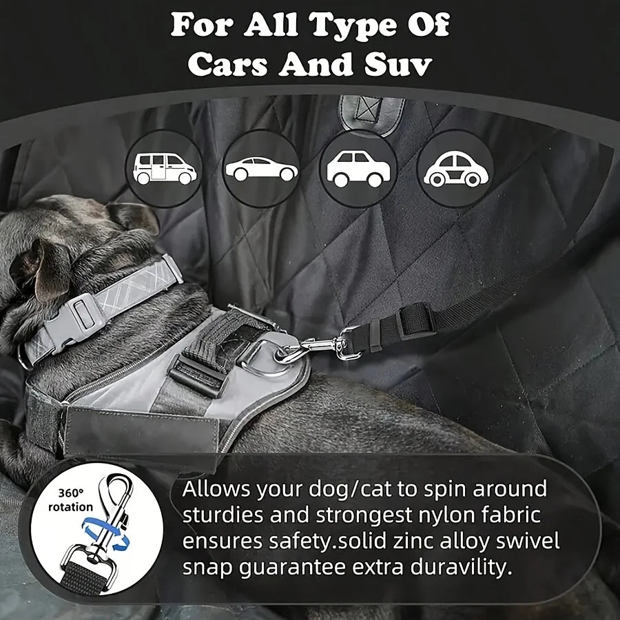 Car Seat-Belt Tether