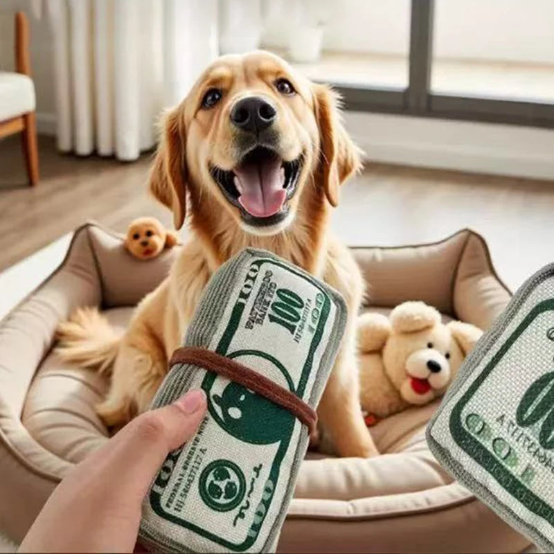 Squeaky Money-Bag Toy