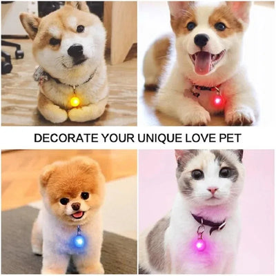 LED Collar Safety Light