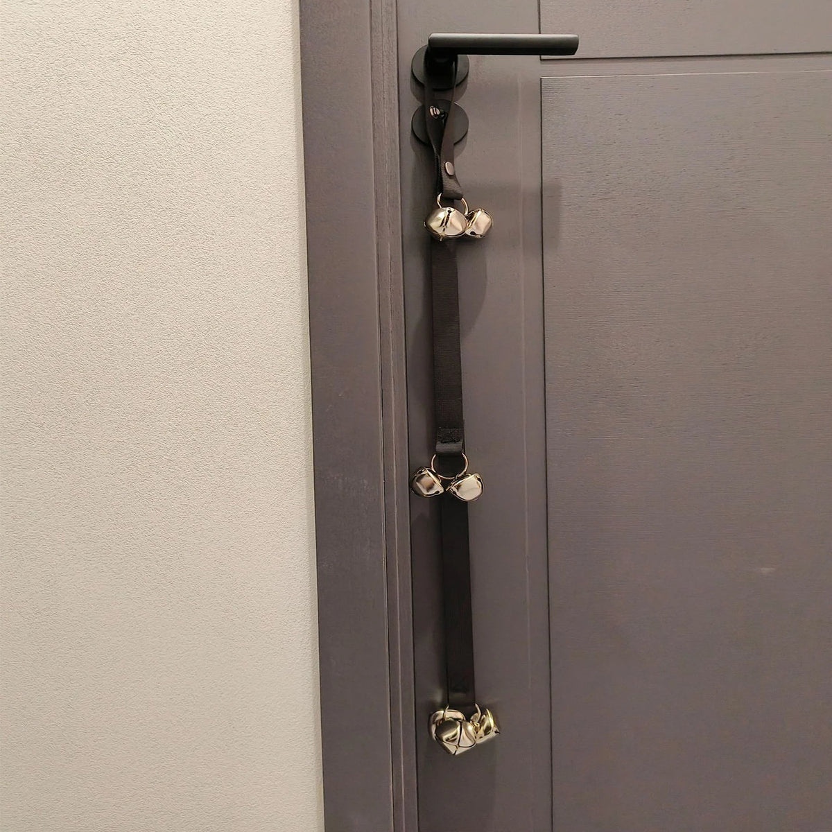 Potty Training Door Bells