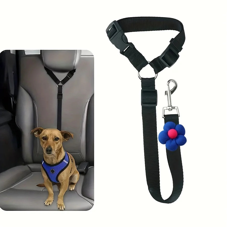 Car Seat-Belt Tether