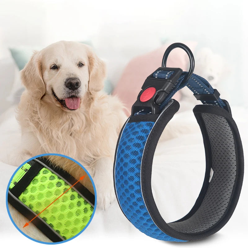 Padded Reflective Collar