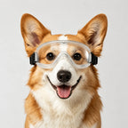 UV Dog Goggles