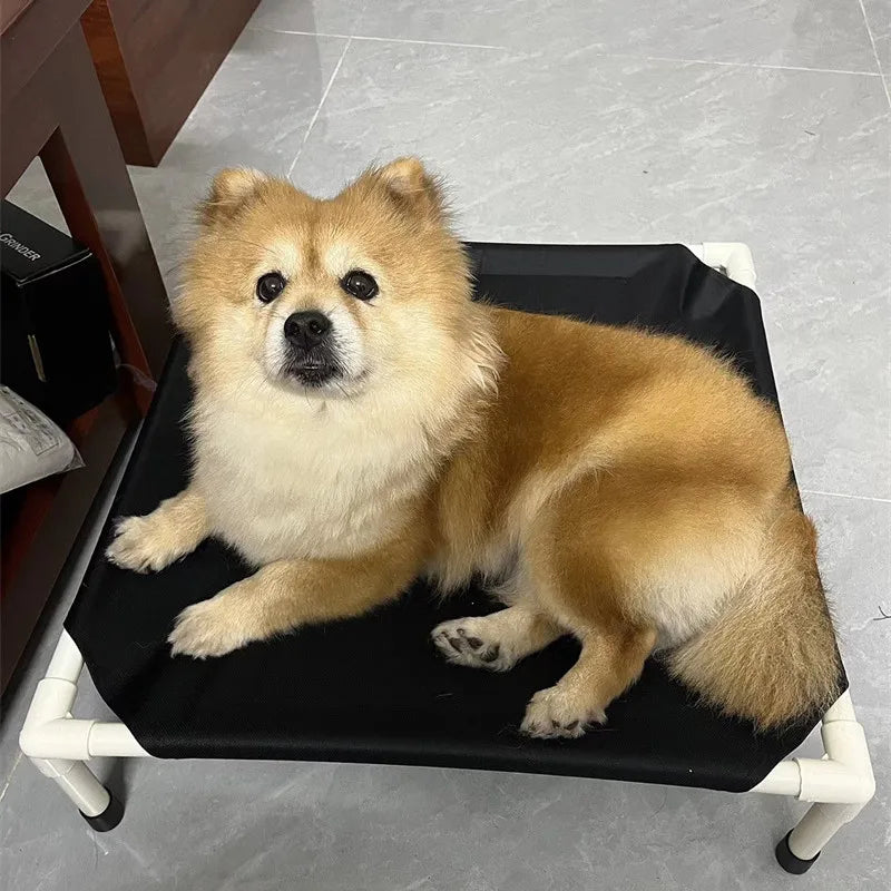 Elevated Camping Dog Bed