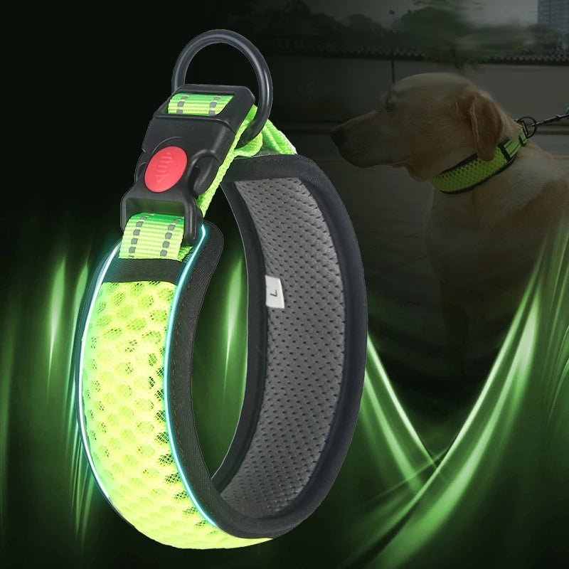 Padded Reflective Collar