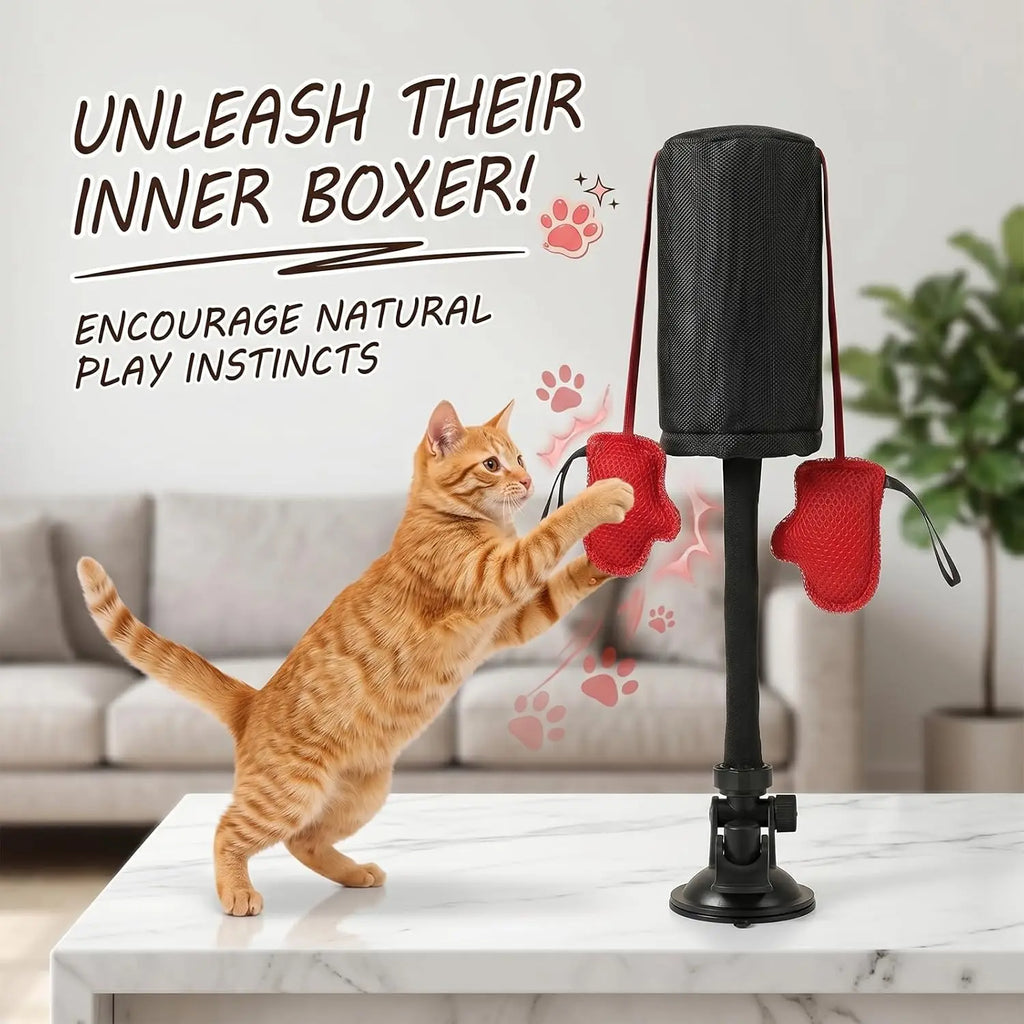 Suction Punch Interactive Toy