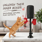 Suction Punch Interactive Toy