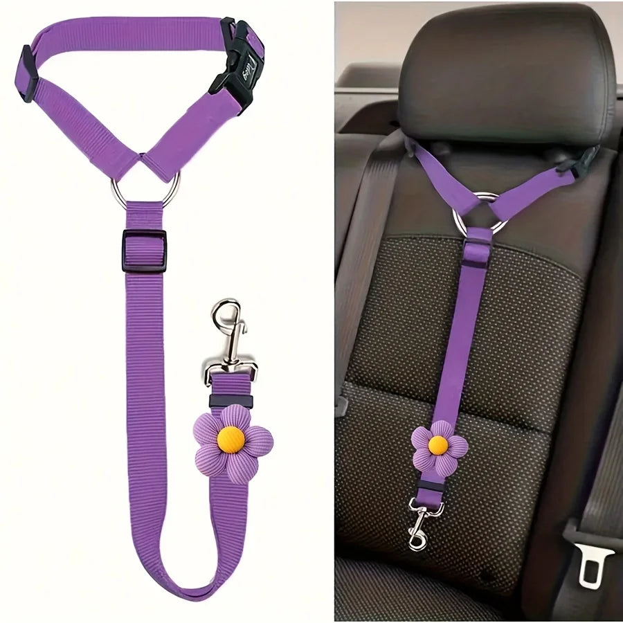 Car Seat-Belt Tether