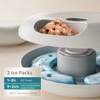 6-Meal Automatic Feeder