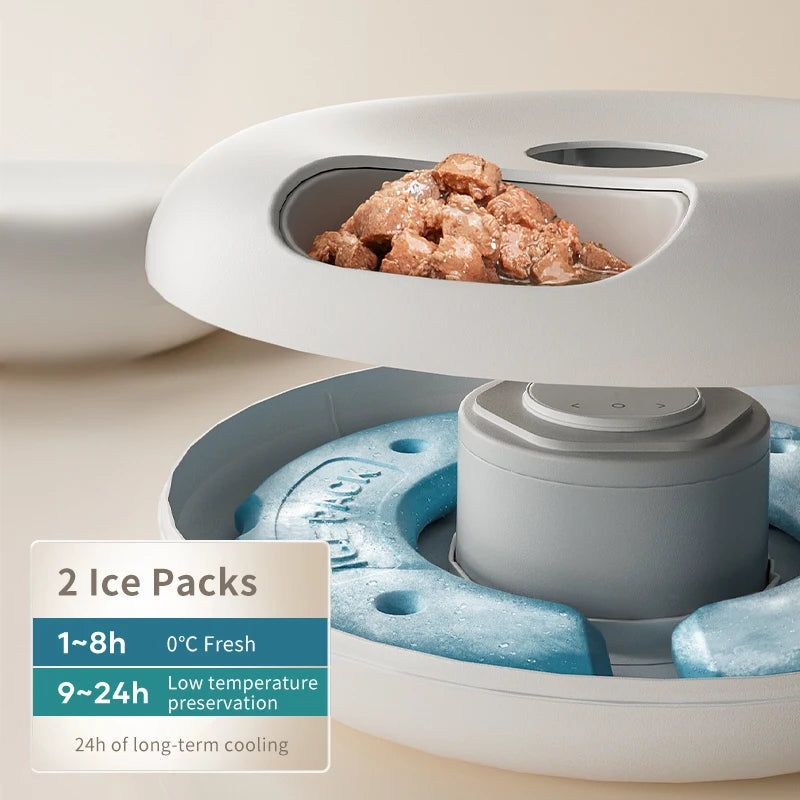 6-Meal Automatic Feeder