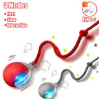 Wiggle-Tail Chase Ball