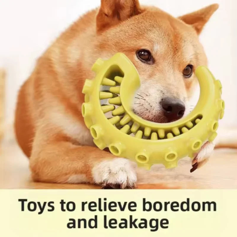 Bite-Resistant Dental Chew