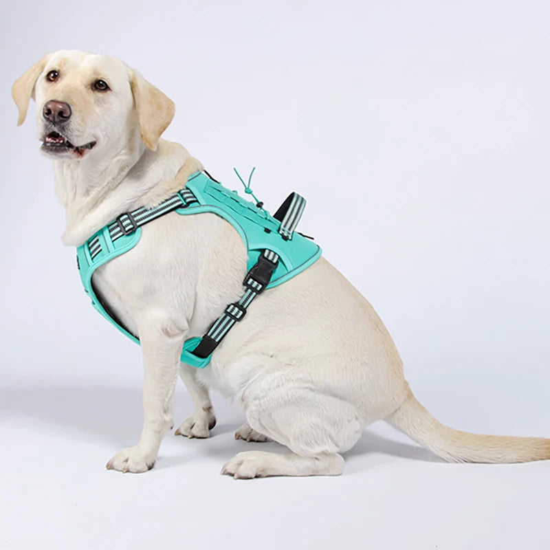 Tactical Running Harness