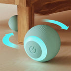 Obstacle-Avoiding Smart Ball