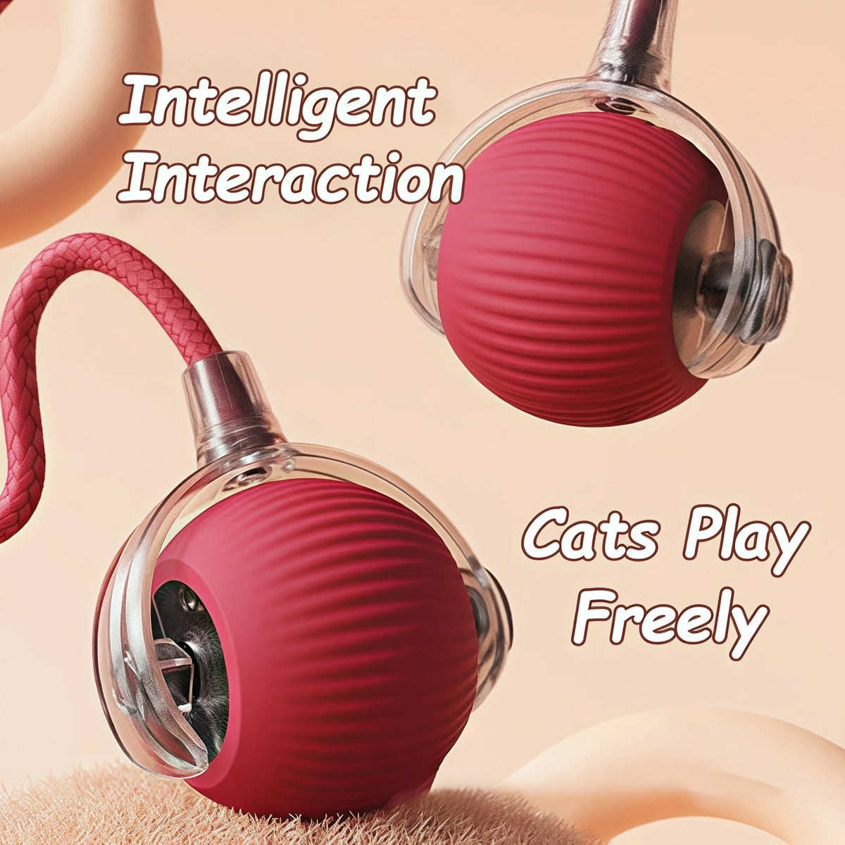 Wiggle-Tail Chase Ball