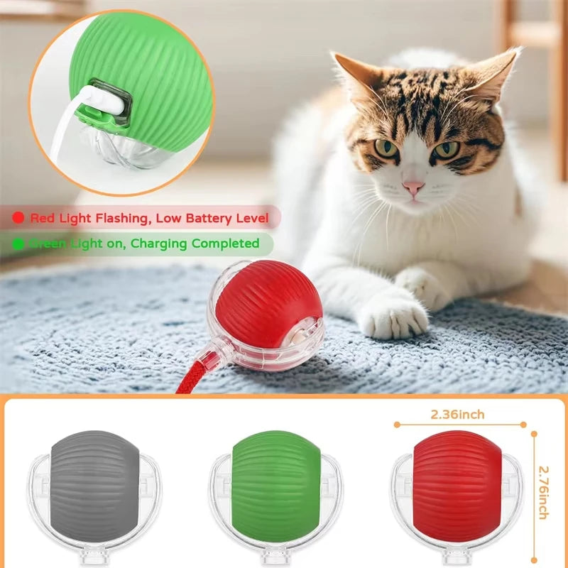 Auto Rolling Ball with Wiggle Tail