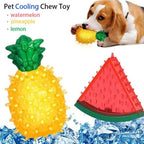 Freezable Fruit Chew Toy