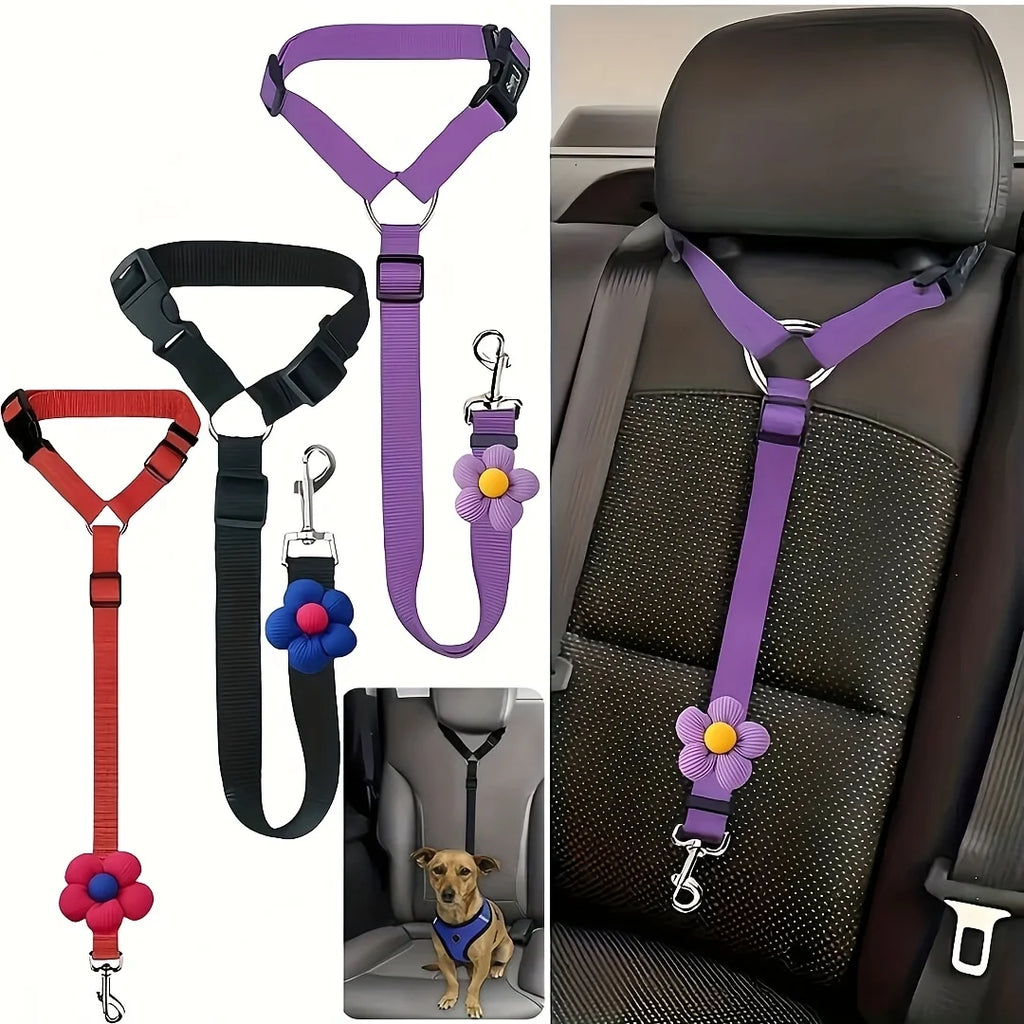 Car Seat-Belt Tether