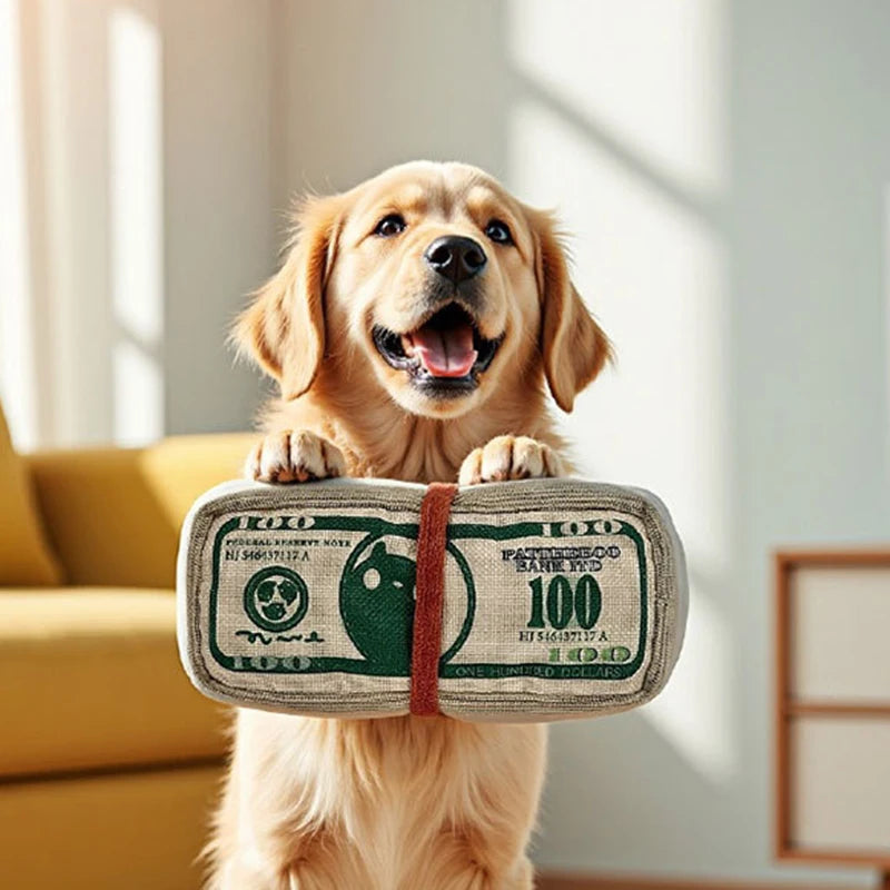 Squeaky Money-Bag Toy