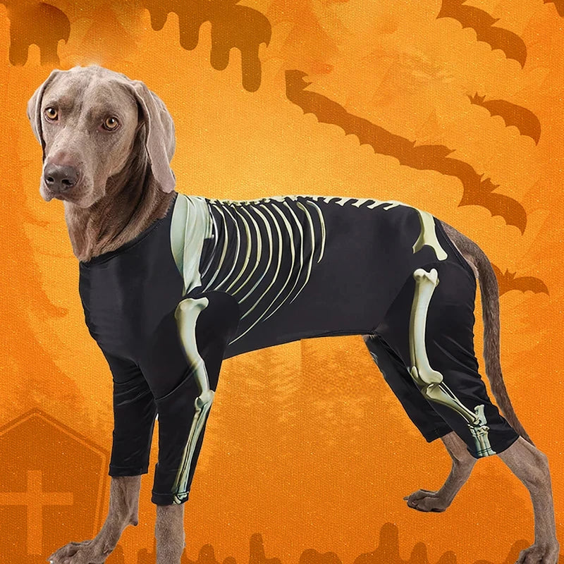 Skeleton Dog Halloween Costume