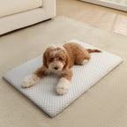 Ice-Silk Cooling Pad