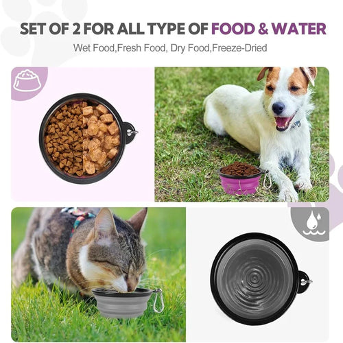 2-in-1 Collapsible Travel Bowl