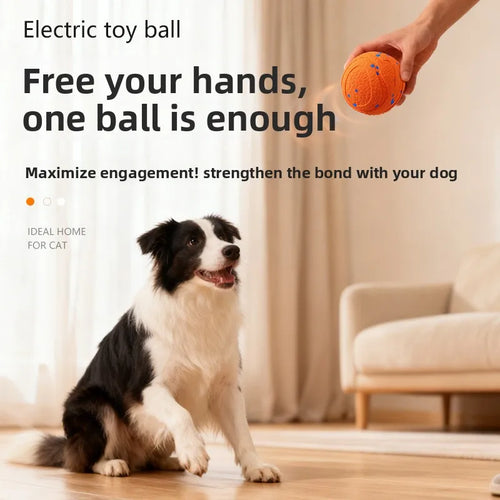 Bite-Proof Self-Rolling Smart Ball