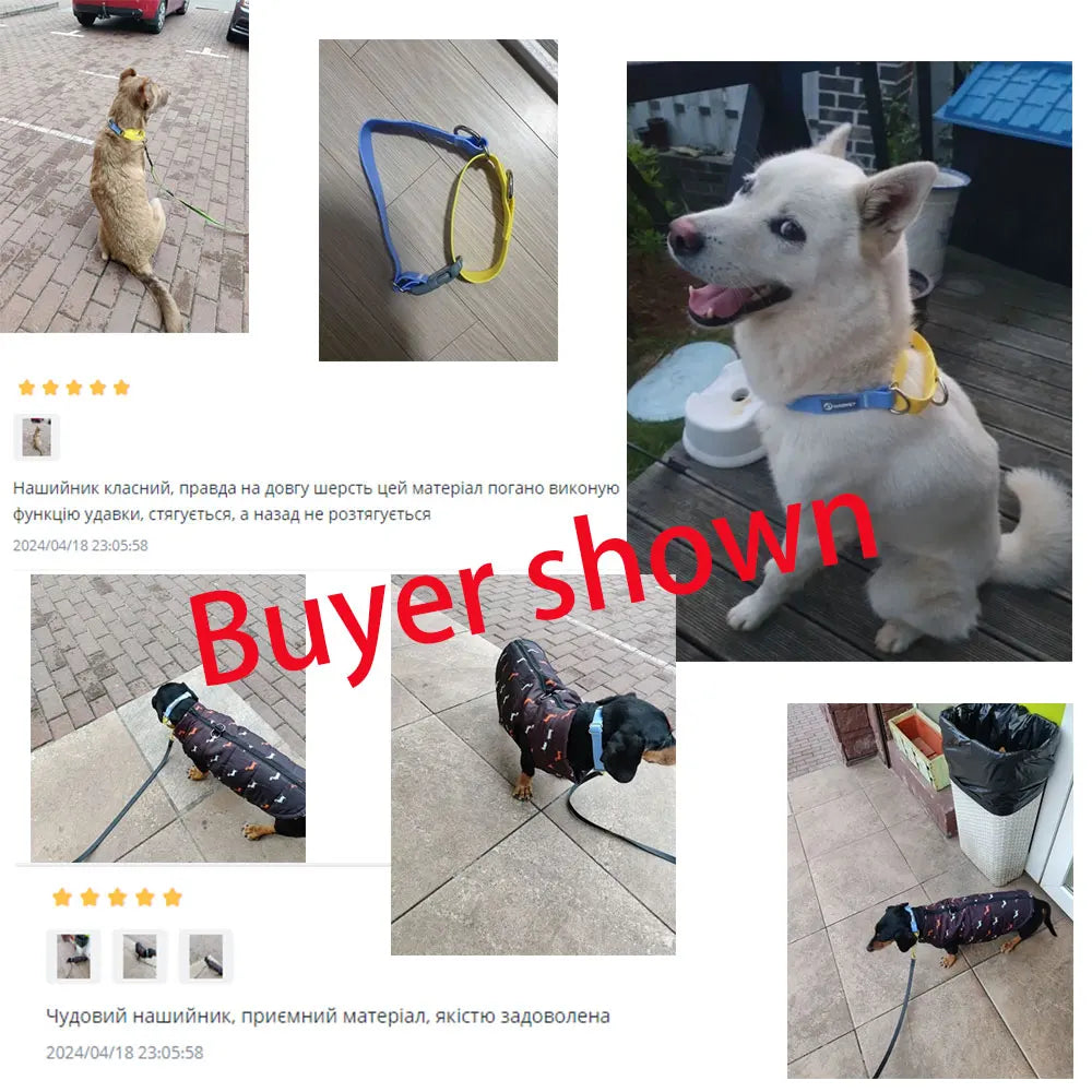 Waterproof PVC Dog Collar