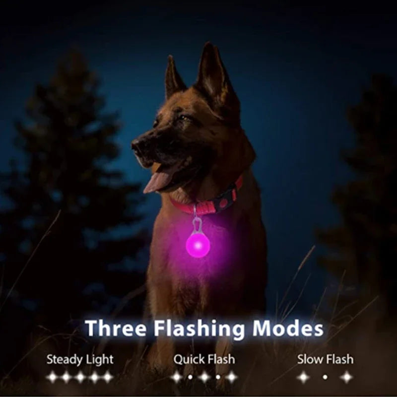 LED Collar Safety Light