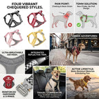 Checkerboard No-Pull Harness