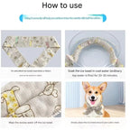 Cooling Ice Collar