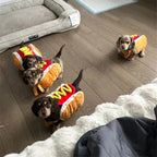 Hot Dog Halloween Costume