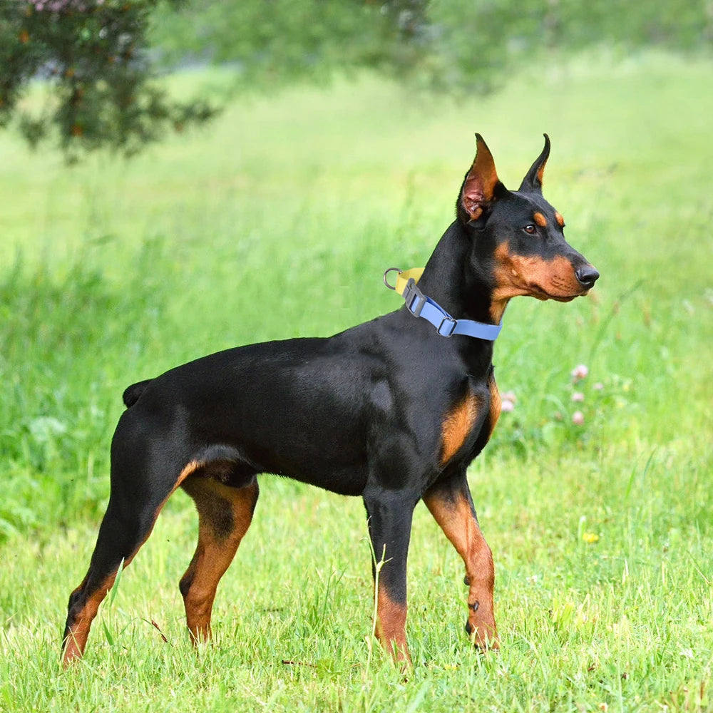 Waterproof PVC Dog Collar