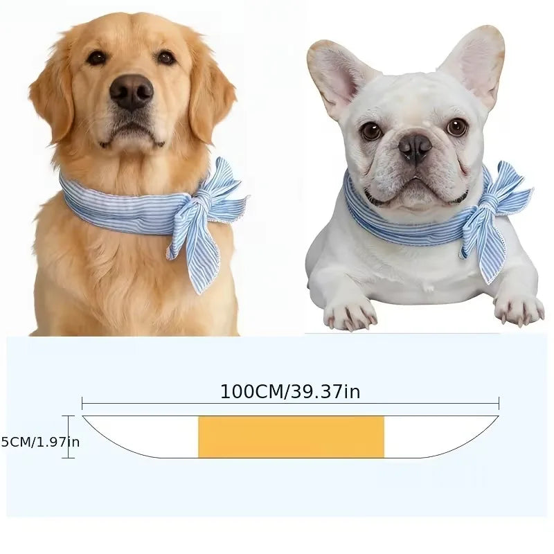 Cooling Ice Collar