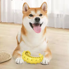 Bite-Resistant Dental Chew