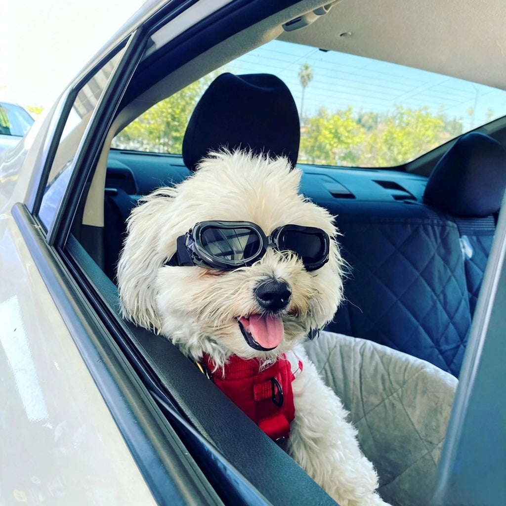 UV Pet Sunglasses