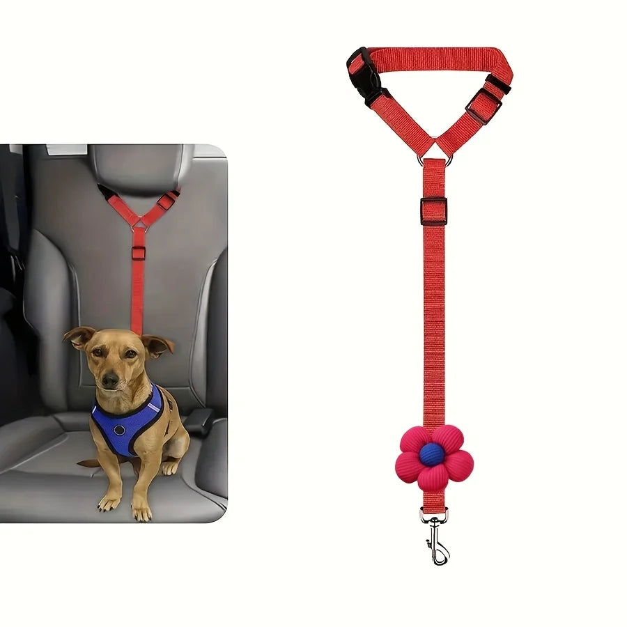 Car Seat-Belt Tether