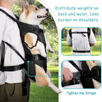 Padded Front Dog Carrier