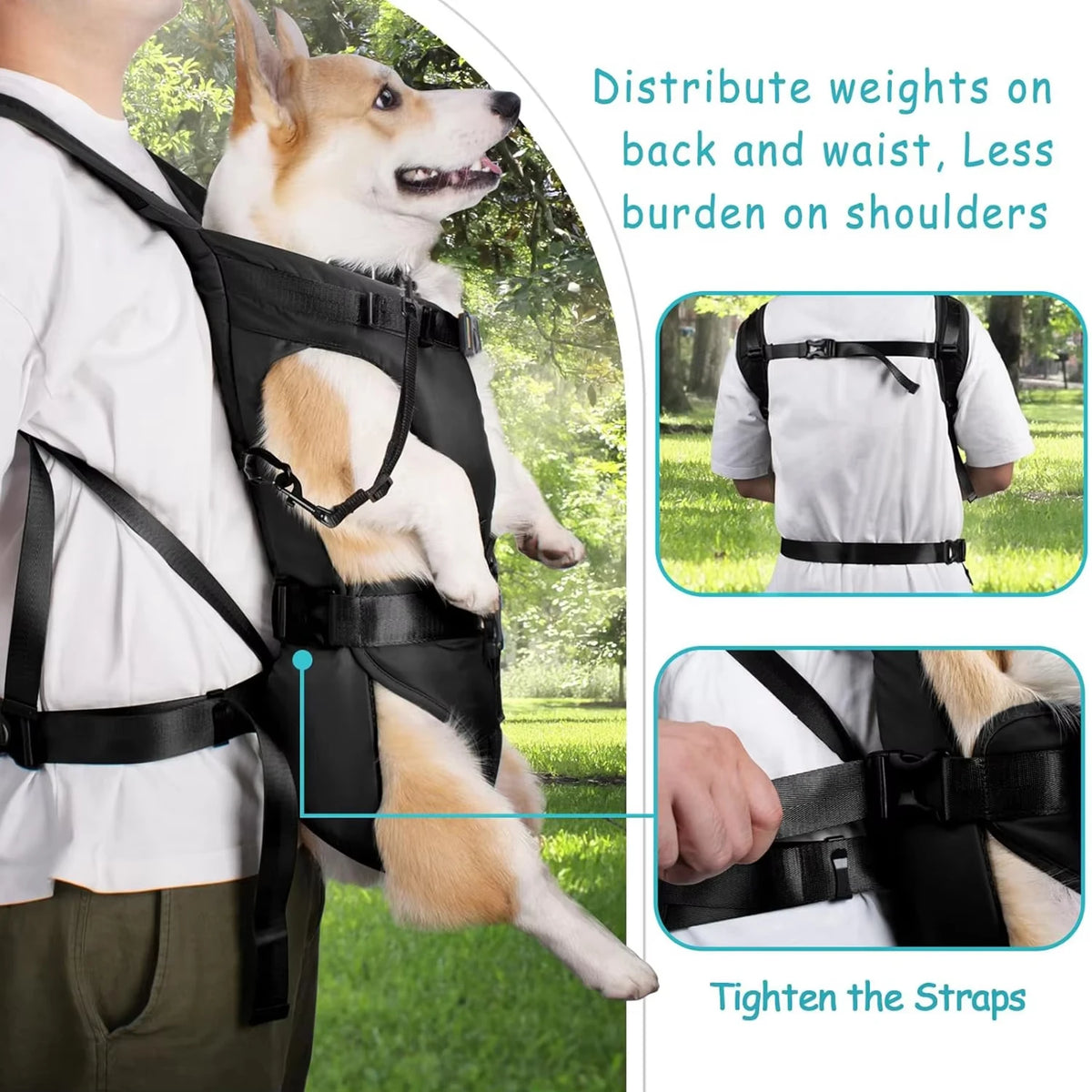 Padded Front Dog Carrier