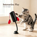 Suction Punch Interactive Toy